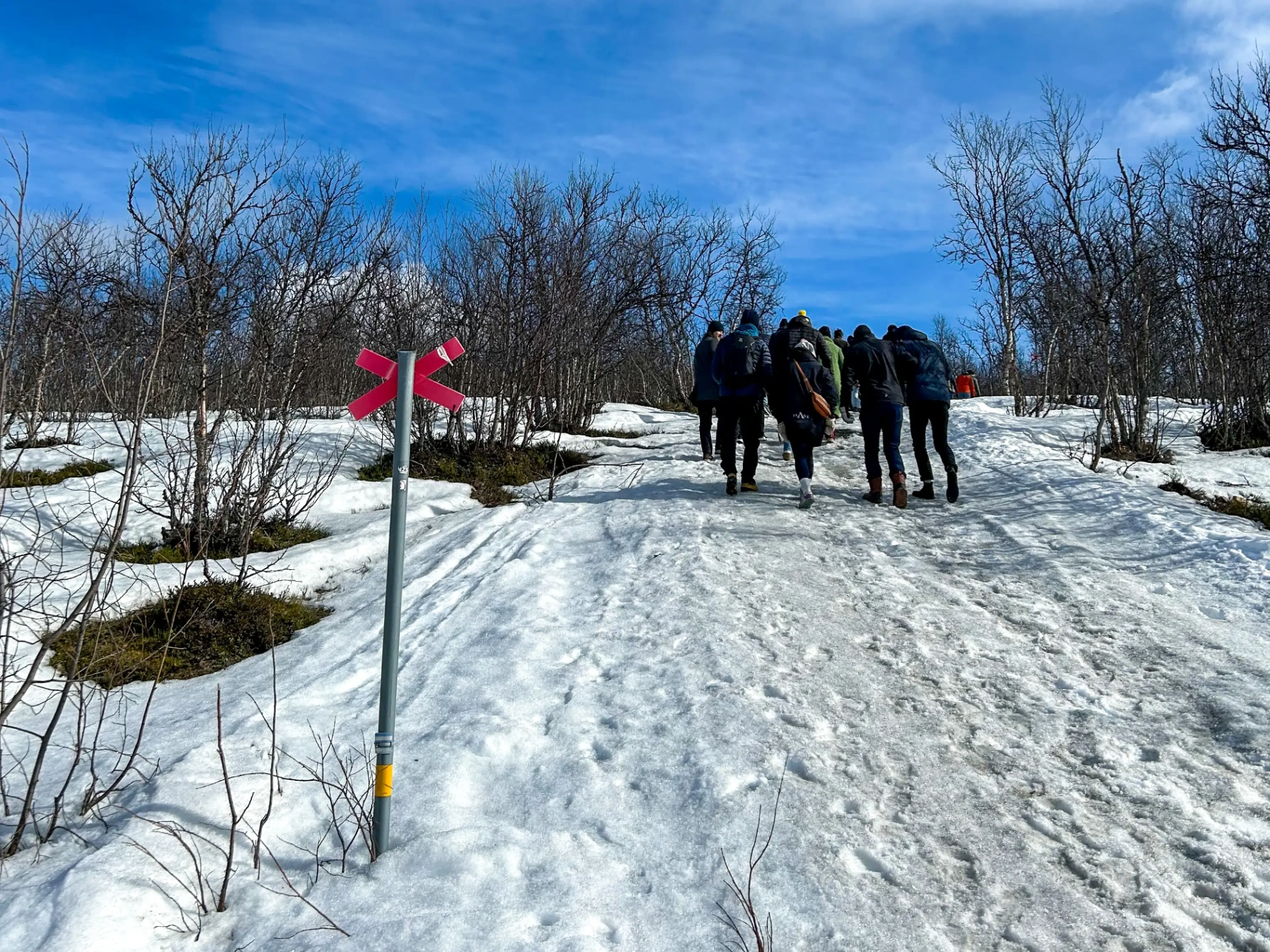Group hiking through Arctic snow near Kiruna