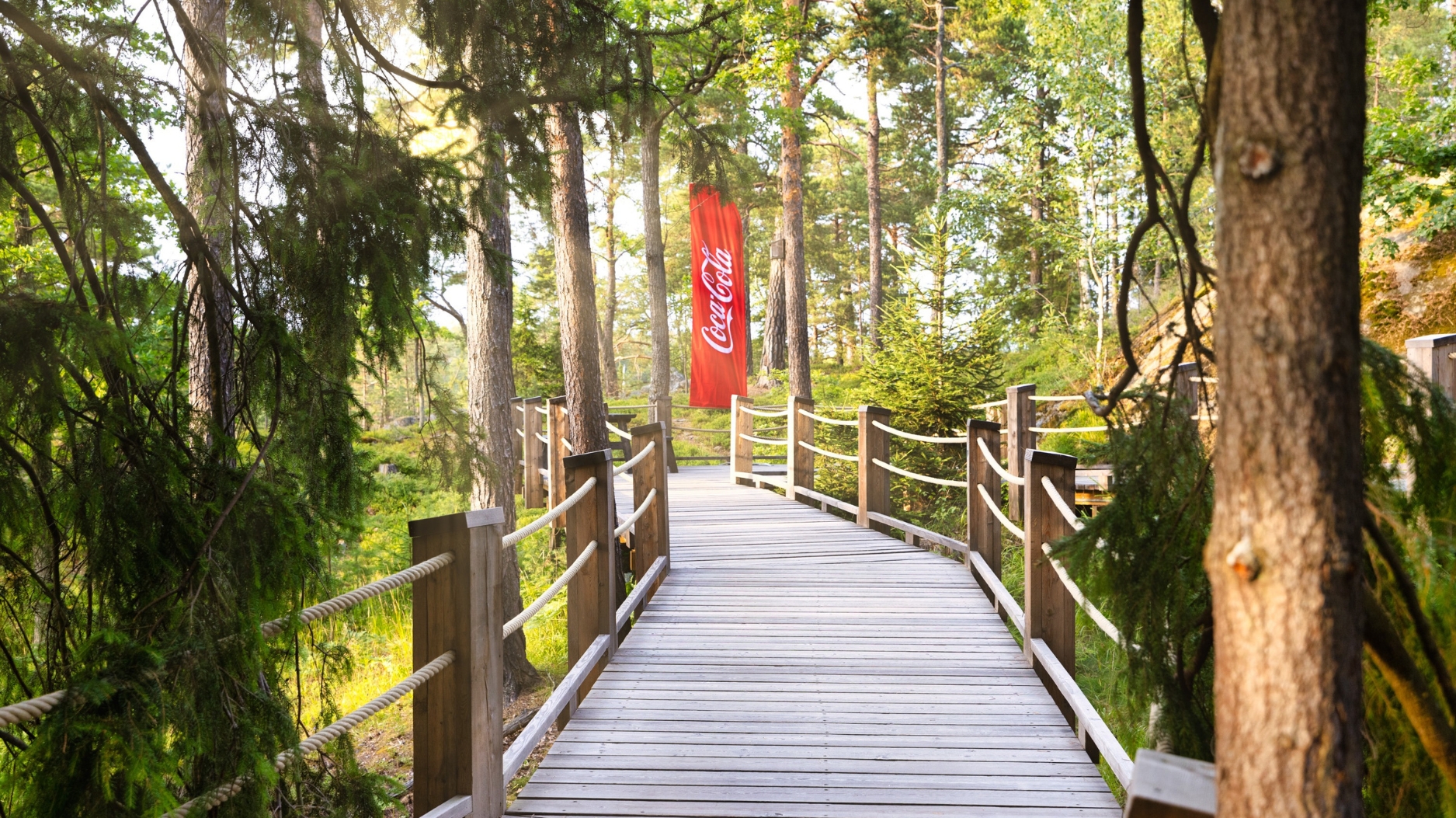 Wooden forest boardwalk with a Coca-Cola banner among the pines