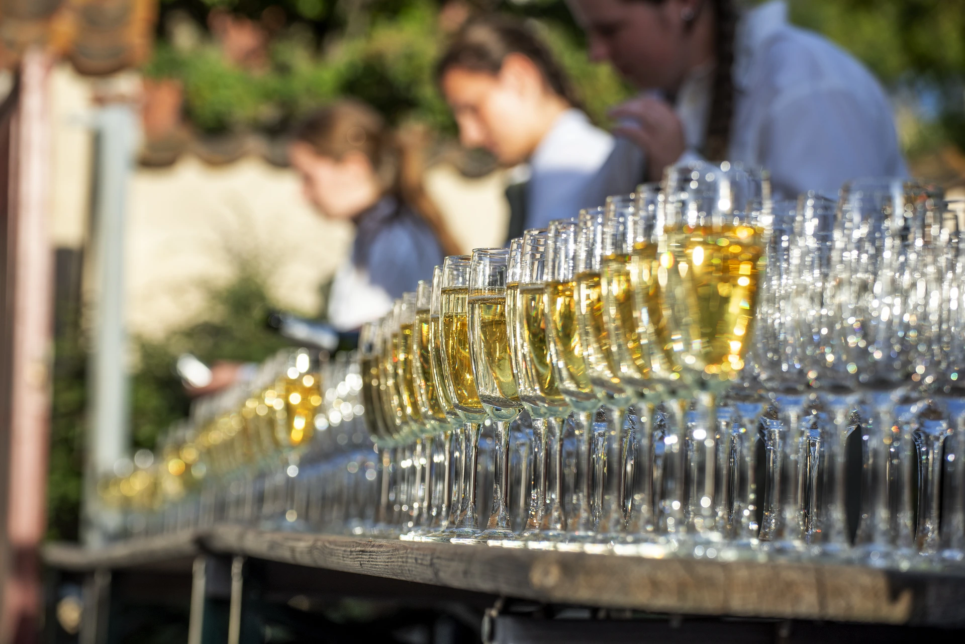 Rows of champagne glasses lined up for the Visby welcome reception