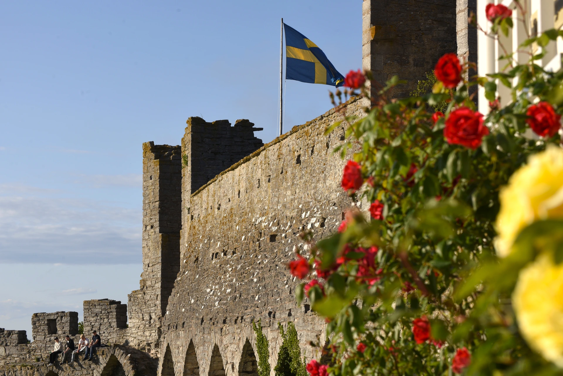 Visby's UNESCO-listed ring wall framed by summer roses