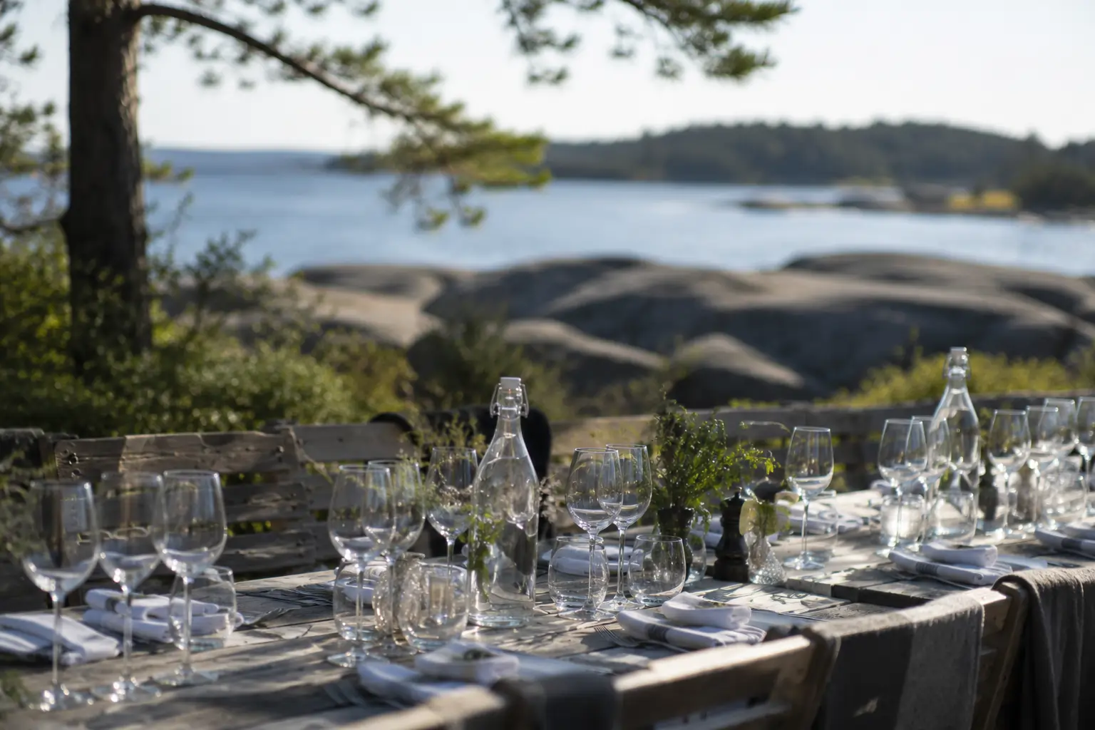 Waterfront dinner table set under pine trees in the archipelago
